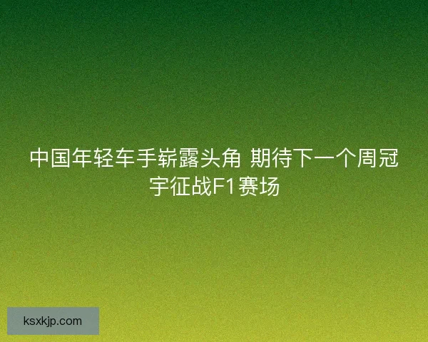 中国年轻车手崭露头角 期待下一个周冠宇征战F1赛场